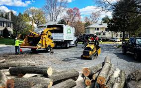 Best Leaf Removal  in Heber, CA